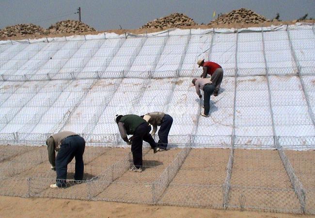 高爾凡雷諾護(hù)墊 高爾凡雷諾護(hù)墊